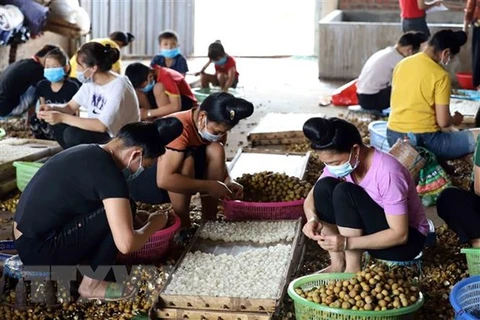 Policy dialogue promotes ASEAN women's role in agriculture​