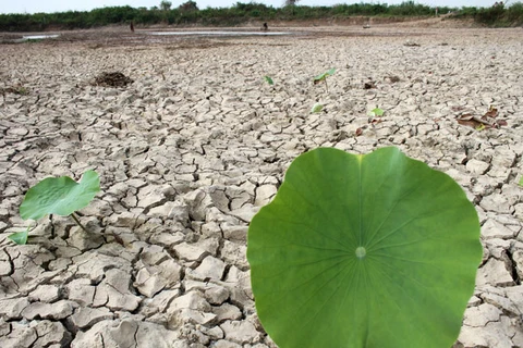 Climate change affects 79 percent of Cambodia's population