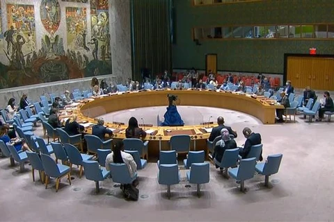 UNSC: Vietnam highly values UNAMID’s contributions 