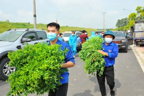 Hanoi’s youths join hands to fight pandemic