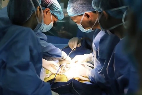 Vietnam successfully performs first liver transplant on child patient with late-stage cancer