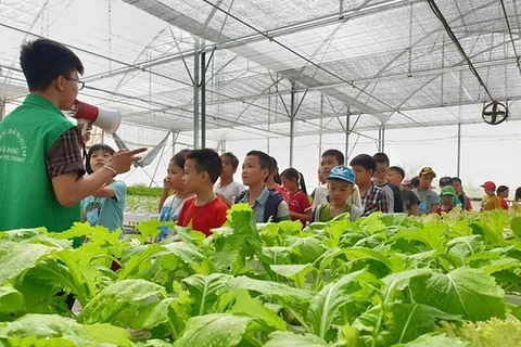 Agritourism expected to bring double benefits to Hanoi
