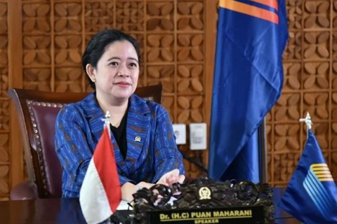 Indonesian House Speaker calls for cooperation to push back COVID-19