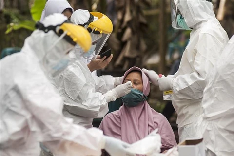 Indonesia establishes task force to monitor implementation of epidemic prevention regulations