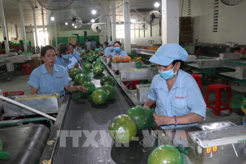 Ben Tre aims to have four agricultural value chains reaching 1 billion USD by 2030