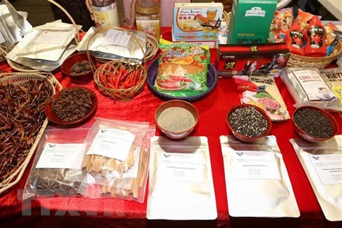 Vietnamese farm produce introduced at chili fest in Italy