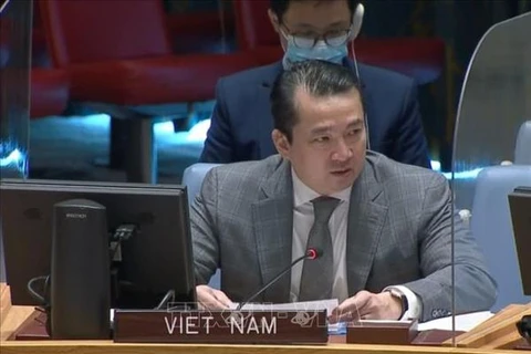 Vietnam condemns use of chemical weapons at UNSC discussion