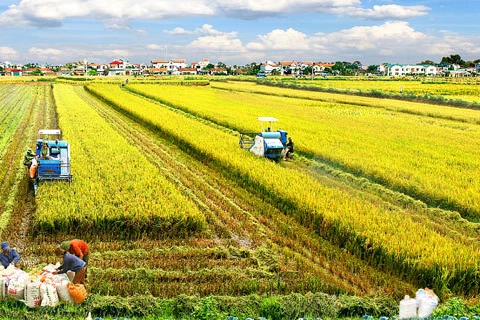 Localities asked to ensure plant, animal varieties supply to farmers amid COVID-19