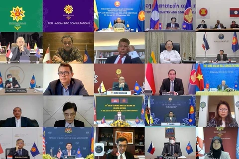 Cambodia attends virtual AEM-ASEAN BAC Consultations