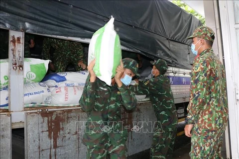 Rice, devices provided to three provinces to aid COVID-19 fight