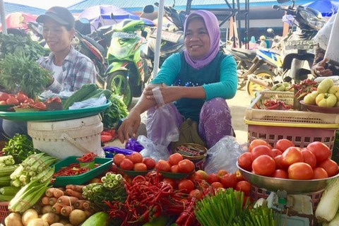 Indonesia, FAO reaffirm stronger partnership for sustainable food systems