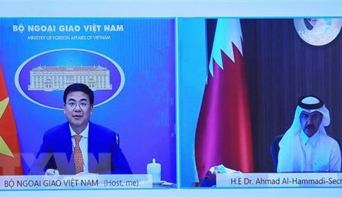Vietnam, Qatar hold great cooperation potential