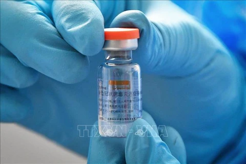 1.8 million doses of Sinovac vaccine arrive in Jakarta 