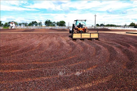 Vietnamese farm produce favoured in China