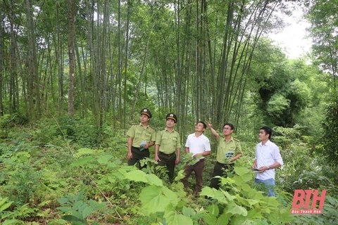 Thanh Hoa approves plan to preserve, develop Pu Luong Natural Reserve 