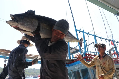 Vietnam becomes largest tuna exporter of Israel