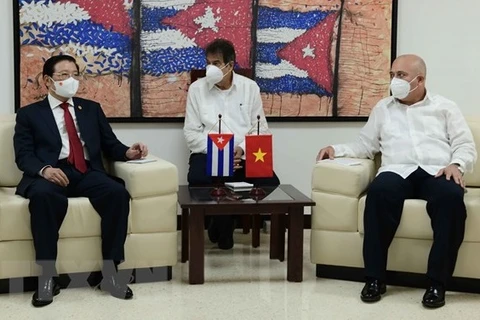 Vietnam, Cuba share experience in party building