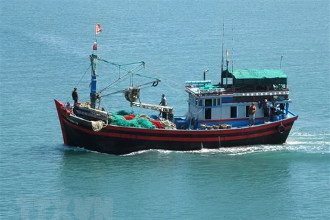 98.9 percent of fishing vessels in Ben Tre install monitoring devices