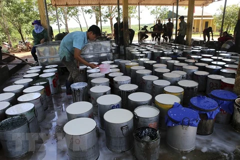 Vietnam’s rubber export to US sees sharp surge