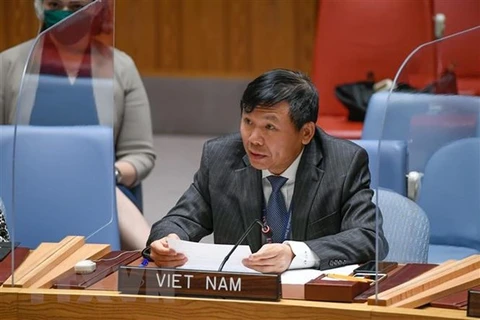 Vietnam regrets at Ethiopia’s expulsion of UN officials: Ambassador
