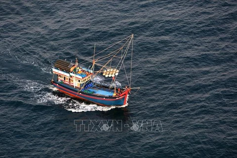 Da Nang spends over 20 bln VND for offshore fishing vessels 