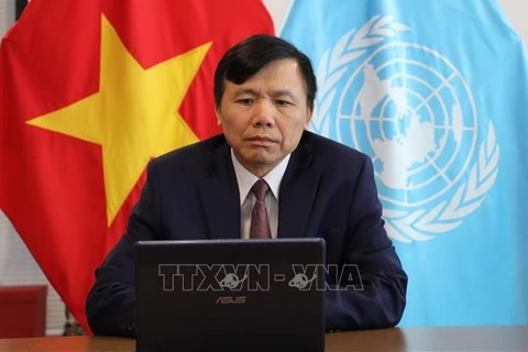 Vietnam will try its best to fulfill its mission: Ambassador