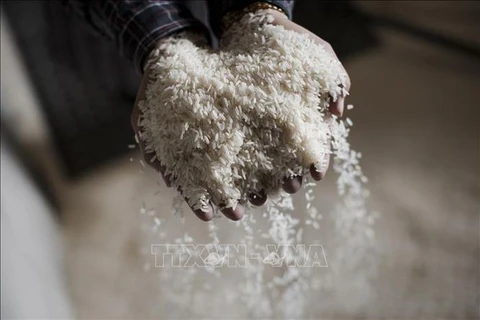 Laos exports rice to EU for first time