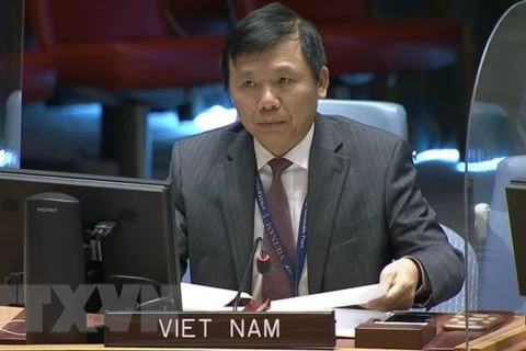 Vietnam calls on int’l community to expand support for DR Congo