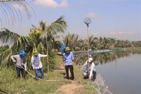 Quang Yen town works to help Quang Ninh achieve double-digit growth