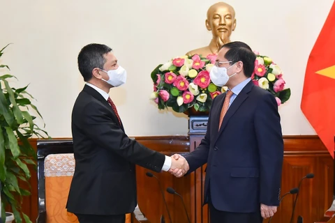 Foreign Minister receives Indonesian Ambassador to Vietnam