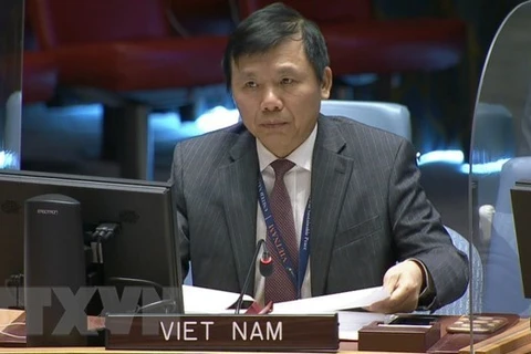 Vietnam committed to fostering international peace and security: Diplomat