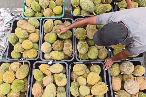 Malaysia enjoys 107 percent increase in durian export value in five years