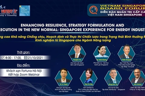 Hanoi to host Vietnam - Singapore forum for senior leaders in energy industry