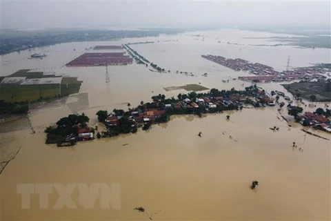 Ninth ASEAN ministerial meeting on disaster management held