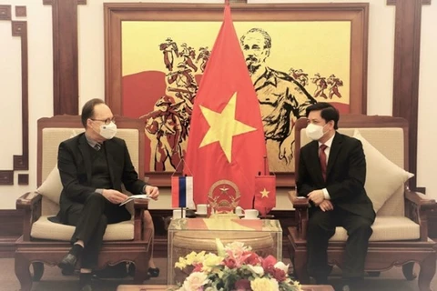 Vietnam, Russia boost transport ties