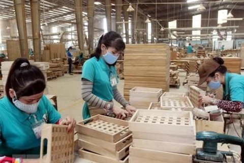 Good prospects for wood sector’s recovery: experts