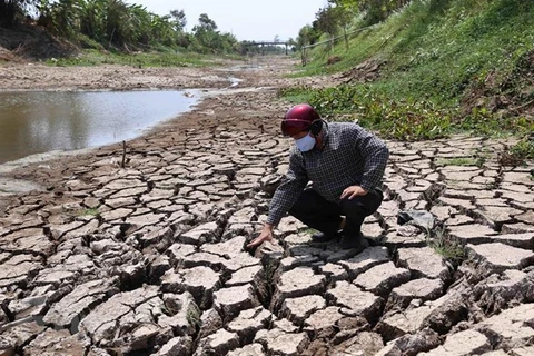 Vietnam seeks technical cooperation to fight climate change