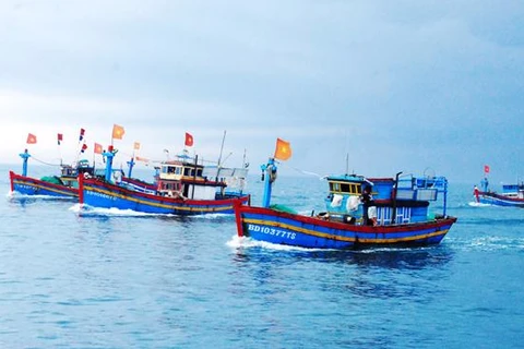 Kien Giang intensifies IUU fishing combat