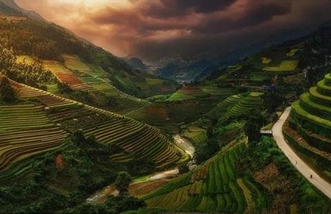 Picture of Vietnamese rice terraces enters prestigious photography contest