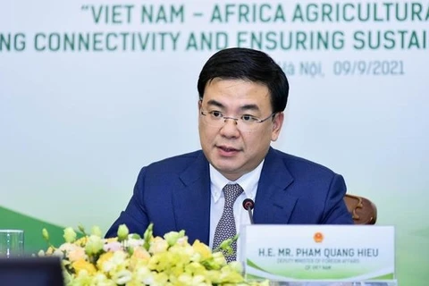 Plenty of room for Vietnam-Africa partnership to thrive: Deputy Foreign Minister