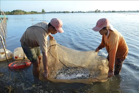 Results of flood-based livelihood project in Mekong Delta reviewed