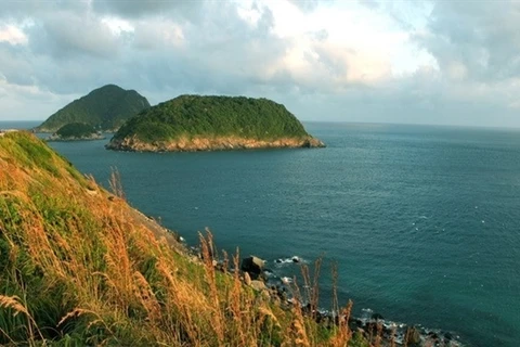 Ba Ria - Vung Tau promotes eco-tourism at national park