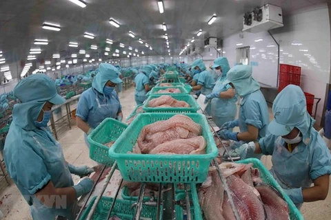 Vietnam moves to widely popularise tra, basa fish in Australia