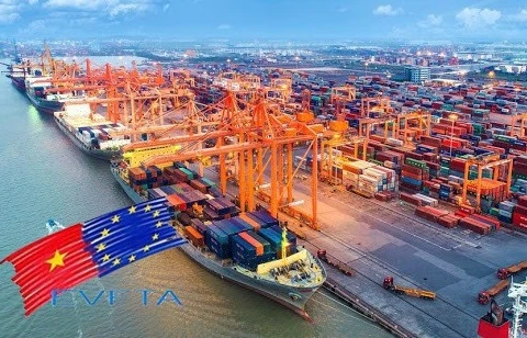 Vietnam urged to improve policies for effective implementation of EVFTA