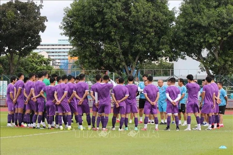 Vietnam team will work hard to get best result at AFF Suzuki Cup 2020: Coach Park 