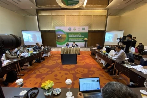 Vietnamese farmers to be guided on low-carbon rice production