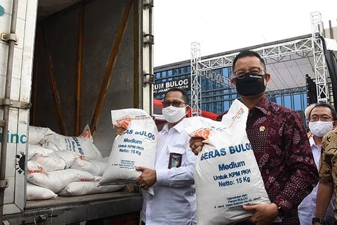 Indonesia not import rice for third consecutive year 