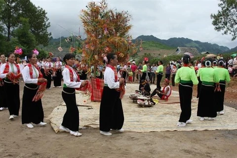 Vietnam to further bring into play its role in UNESCO: ambassador