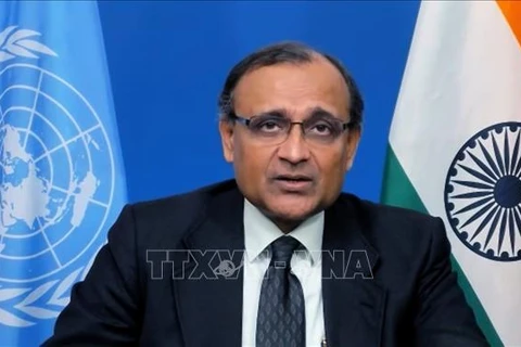 Indian ambassador compliments Vietnam's contributions to UNSC 