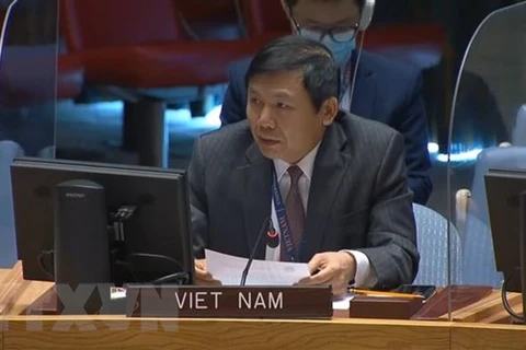 Vietnam completes all targets at UNSC: Ambassador